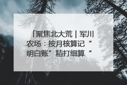 聚焦北大荒｜军川农场：按月核算记“明白账”精打细算“过紧日子”