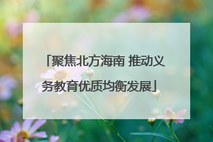 聚焦北方海南 推动义务教育优质均衡发展