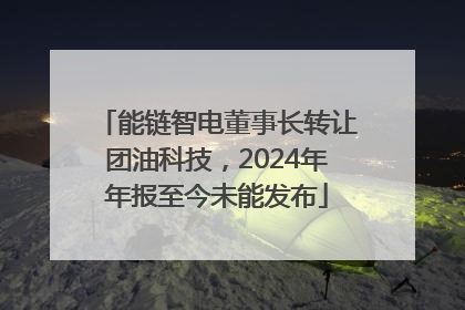 能链智电董事长转让团油科技，2024年年报至今未能发布