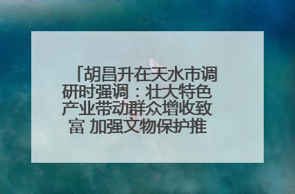 胡昌升在天水市调研时强调：壮大特色产业带动群众增收致富 加强文物保护推动文化创新发展