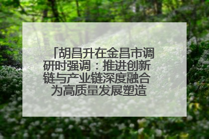 胡昌升在金昌市调研时强调：推进创新链与产业链深度融合 为高质量发展塑造新动能新优势
