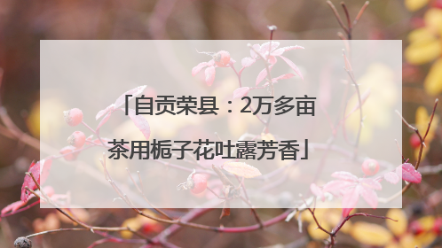 自贡荣县：2万多亩茶用栀子花吐露芳香