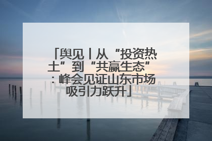 舆见丨从“投资热土”到“共赢生态”：峰会见证山东市场吸引力跃升