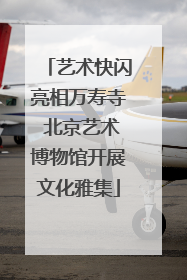 艺术快闪亮相万寿寺 北京艺术博物馆开展文化雅集
