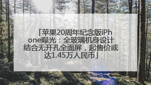 苹果20周年纪念版iPhone曝光：全玻璃机身设计结合无开孔全面屏，起售价或达1.45万人民币