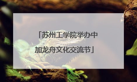 苏州工学院举办中加龙舟文化交流节