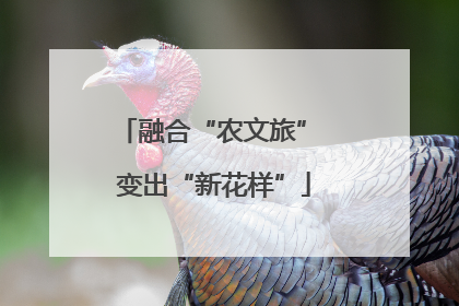 融合“农文旅” 变出“新花样”
