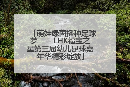 萌娃绿茵播种足球梦——LHK福宝之星第三届幼儿足球嘉年华精彩绽放