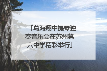 葛海翔中提琴独奏音乐会在苏州第六中学精彩举行