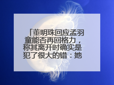 董明珠回应孟羽童能否再回格力，称其离开时确实是犯了很大的错：她对我来说是孩子