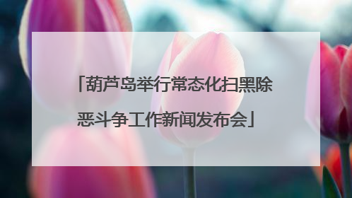 葫芦岛举行常态化扫黑除恶斗争工作新闻发布会