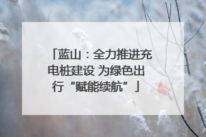 蓝山：全力推进充电桩建设 为绿色出行“赋能续航”