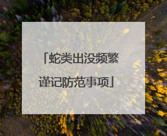蛇类出没频繁 谨记防范事项