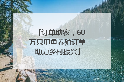 订单助农，60万只甲鱼养殖订单助力乡村振兴