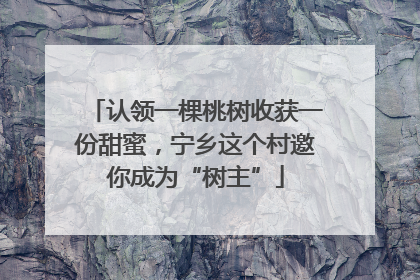 认领一棵桃树收获一份甜蜜，宁乡这个村邀你成为“树主”