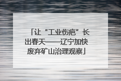 让“工业伤疤”长出春天——辽宁加快废弃矿山治理观察