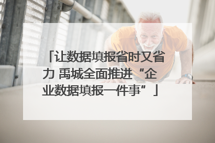 让数据填报省时又省力 禹城全面推进“企业数据填报一件事”