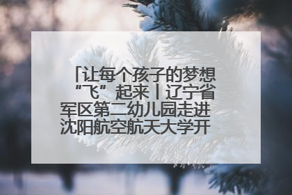 让每个孩子的梦想“飞”起来丨辽宁省军区第二幼儿园走进沈阳航空航天大学开展爱国主义教育