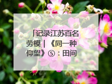 记录江苏百名劳模｜《同一种仰望》⑤：田间车间都是希望
