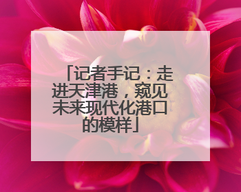 记者手记：走进天津港，窥见未来现代化港口的模样