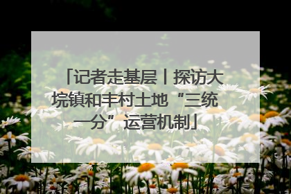 记者走基层丨探访大垸镇和丰村土地“三统一分”运营机制