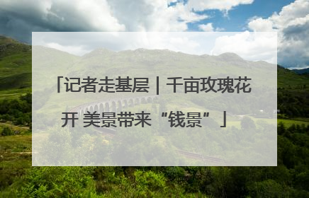 记者走基层｜千亩玫瑰花开 美景带来“钱景”