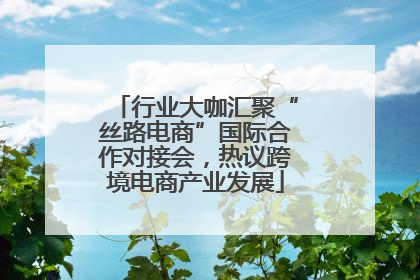 行业大咖汇聚“丝路电商”国际合作对接会，热议跨境电商产业发展