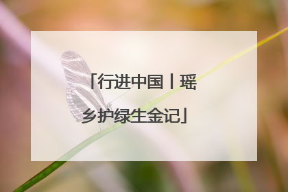 行进中国丨瑶乡护绿生金记