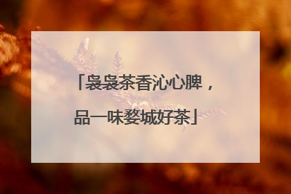袅袅茶香沁心脾，品一味婺城好茶