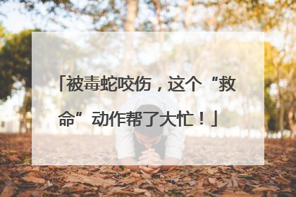 被毒蛇咬伤，这个“救命”动作帮了大忙！