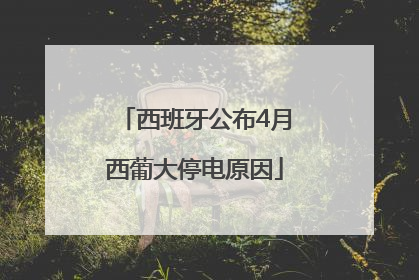 西班牙公布4月西葡大停电原因