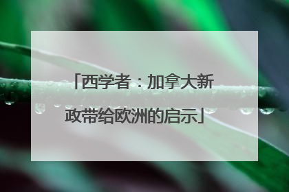 西学者：加拿大新政带给欧洲的启示