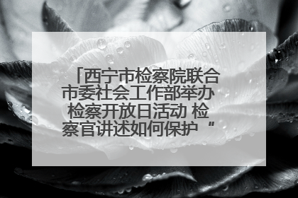 西宁市检察院联合市委社会工作部举办检察开放日活动 检察官讲述如何保护“少年的你”