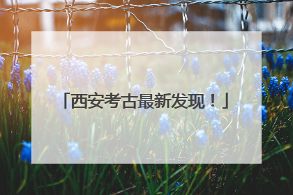 西安考古最新发现！