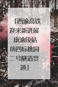 西渝高铁迎来新进展 康渝段站前四标桃园二号隧道贯通