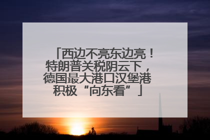 西边不亮东边亮！特朗普关税阴云下，德国最大港口汉堡港积极“向东看”