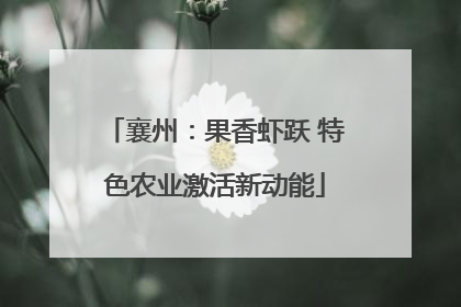襄州：果香虾跃 特色农业激活新动能