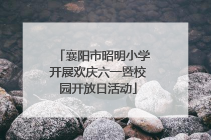 襄阳市昭明小学开展欢庆六一暨校园开放日活动