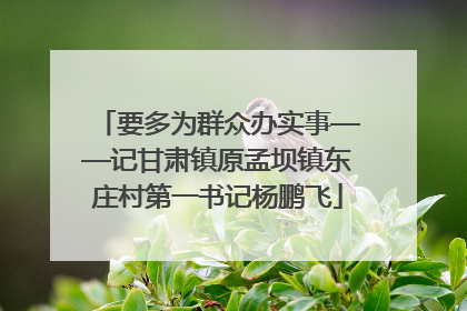 要多为群众办实事——记甘肃镇原孟坝镇东庄村第一书记杨鹏飞