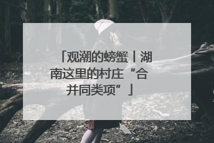 观潮的螃蟹丨湖南这里的村庄“合并同类项”