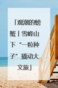 观潮的螃蟹丨雪峰山下“一粒种子”撬动大文旅