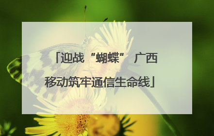 迎战“蝴蝶” 广西移动筑牢通信生命线