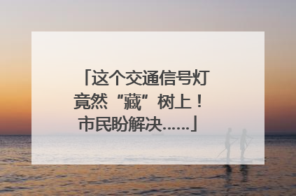 这个交通信号灯竟然“藏”树上！市民盼解决……
