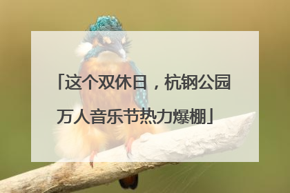 这个双休日，杭钢公园万人音乐节热力爆棚