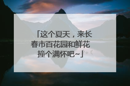 这个夏天，来长春市百花园和鲜花撞个满怀吧~