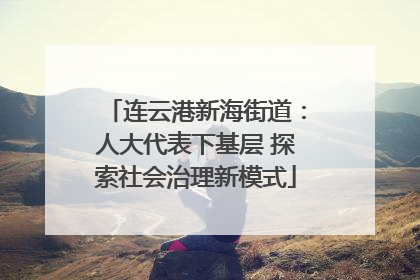 连云港新海街道：人大代表下基层 探索社会治理新模式