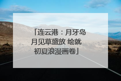 连云港：月牙岛月见草盛放 绘就初夏浪漫画卷