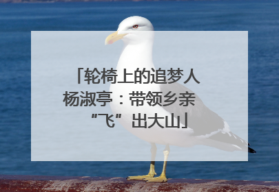轮椅上的追梦人杨淑亭：带领乡亲“飞”出大山