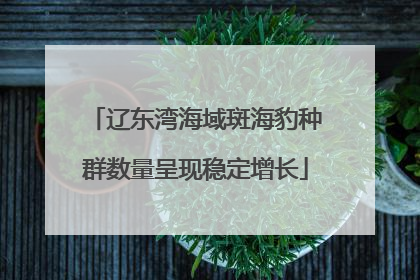 辽东湾海域斑海豹种群数量呈现稳定增长