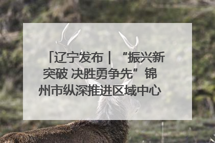 辽宁发布｜“振兴新突破 决胜勇争先”锦州市纵深推进区域中心城市建设 打造高质量发展新增长极